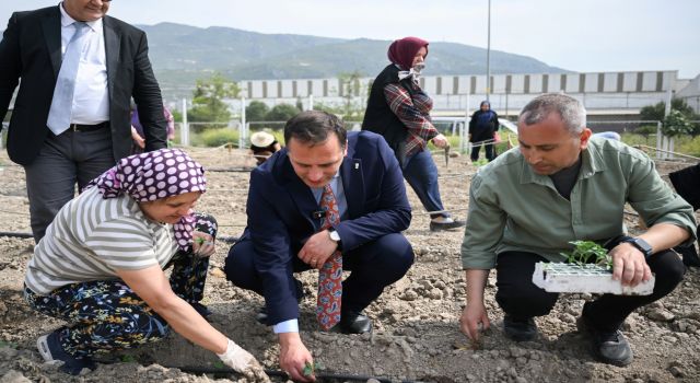 Bornovalı kadınlar Kent Bostanı’nda kendi elleriyle üretiyor
