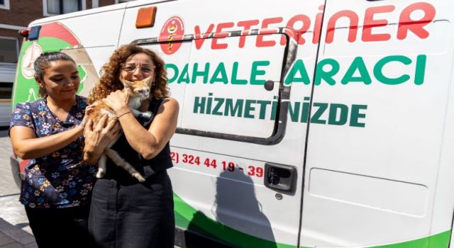 Kazadan kurtuldu, sevgiyle hayata tutundu