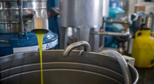 Bornova Belediyesi’nden üreticiye büyük destek