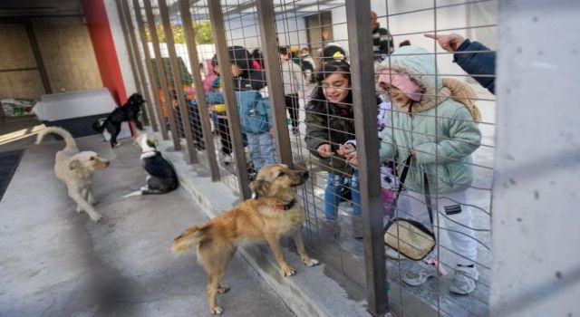 Çocuklara hayvan sevgisi kazandırılıyor