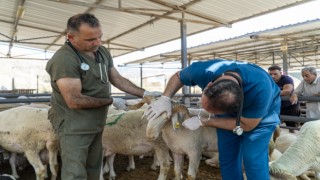 Karşıyaka, Kurban Bayramı’na hazır