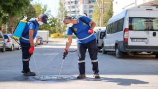Buca’da 24 saat ilaçlama atağı