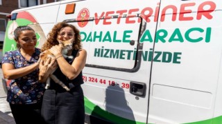 Kazadan kurtuldu, sevgiyle hayata tutundu