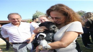 Karşıyaka’da can dostlar için 25 ton mama toplandı