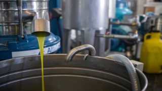 Bornova Belediyesi’nden üreticiye büyük destek