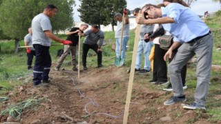 Bornova’dan susuzluğa doğa temelli çözümler