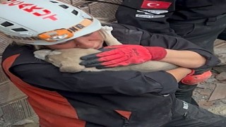 BUCAKUT’tan yavru köpek operasyonu...