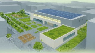 İzmir çatılarda yeşil devrimi başlatıyor