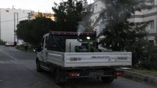 Çiğli’de sivrisinek ve haşerelere karşı etkin önlem